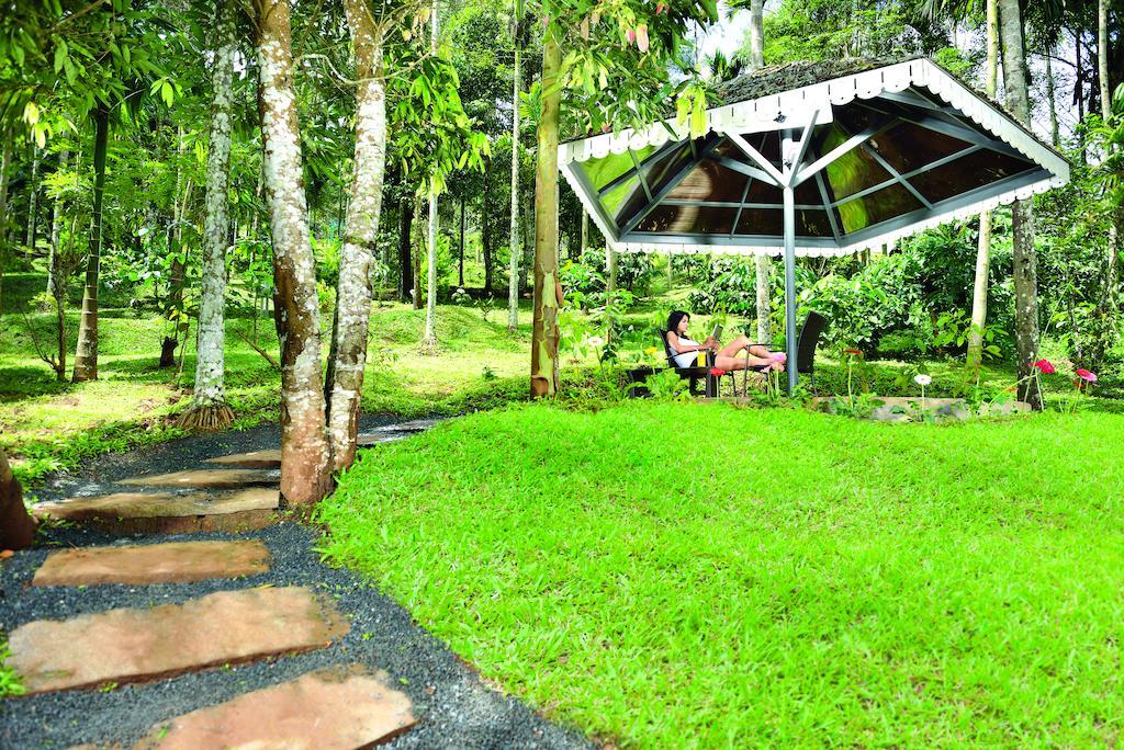 The Woods Resorts Wayanad Sultan Bathery Exterior photo